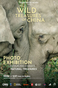 Wild Treasures of China: The photo exhibition revealing China's natural